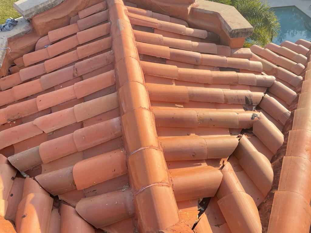 WhatsApp Image 2021-04-22 at 9.55.09 AM